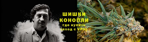 ГАЛЛЮЦИНОГЕННЫЕ ГРИБЫ Алексеевка