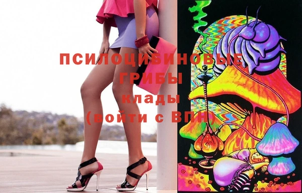 МДПВ Алзамай