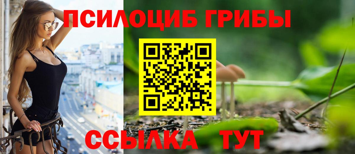 Галлюциногенные грибы MAGIC MUSHROOMS Боровичи