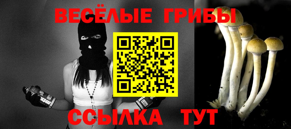 Боровичи  Галлюциногенные грибы мухоморы  Вход с VPN 